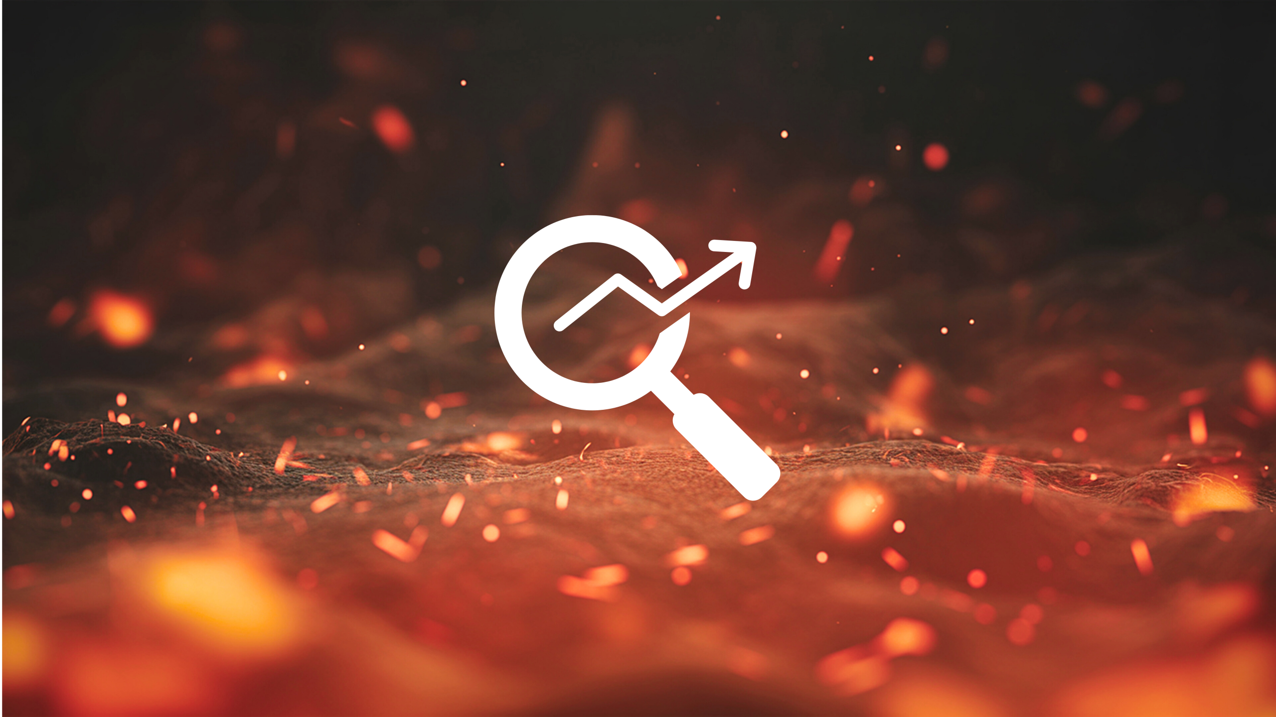 SEO Tools